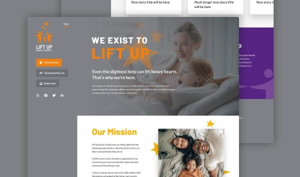 non_profit_web_design_development_project
