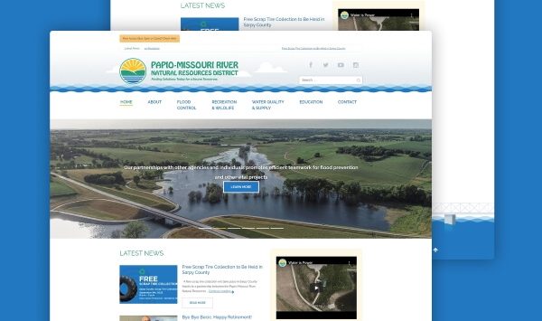government_web_design_development_project