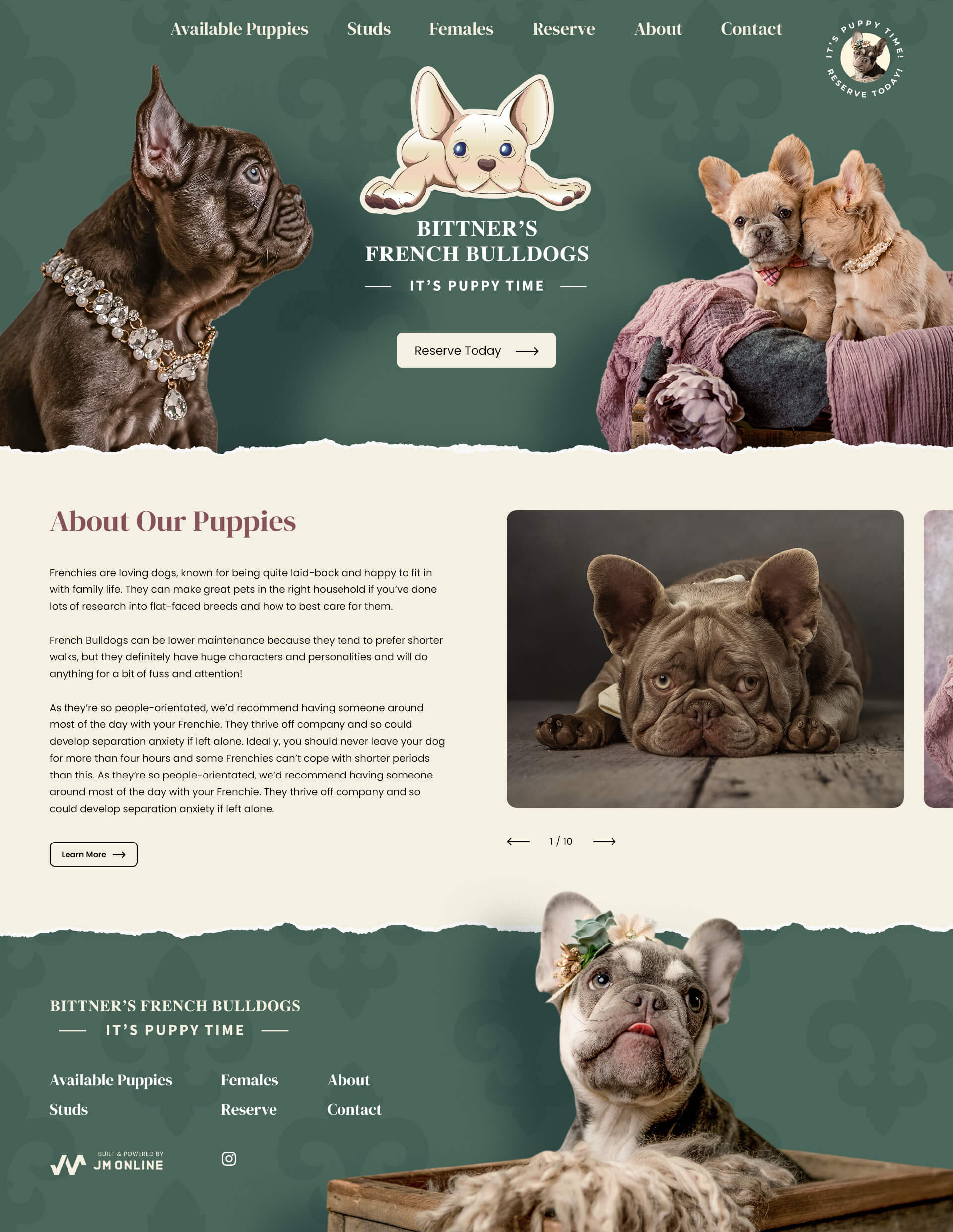 Bittner's French Bulldogs | JM Online